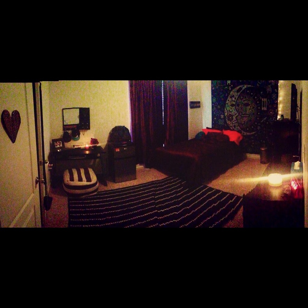 Purple velvet urban outfitter drapes (3)